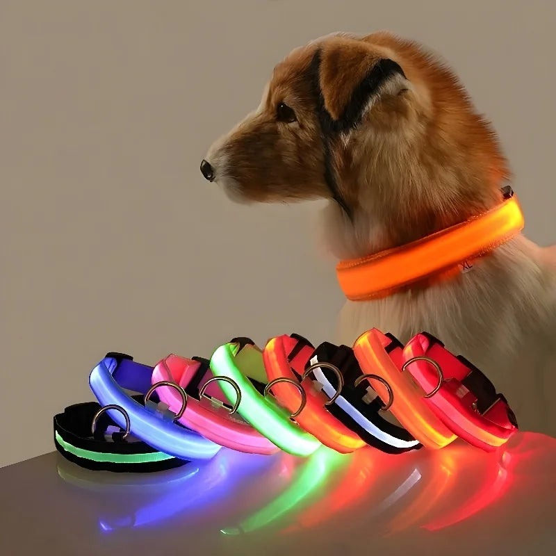 Keep your pet visible at night with this LED safety collar.