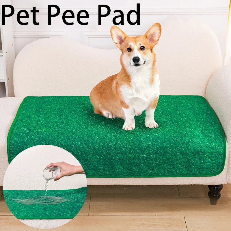 Hassle-free, reusable pee pads for potty training your pet.