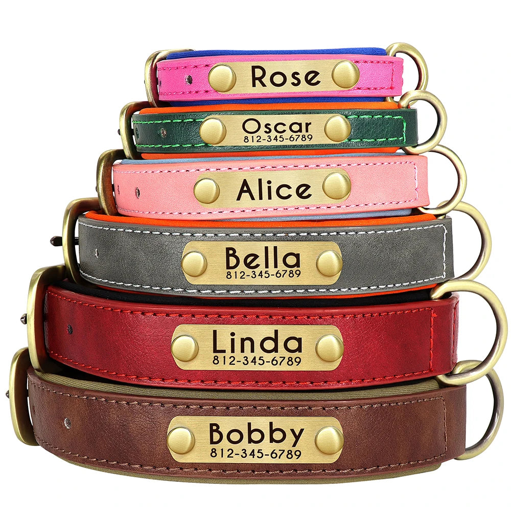 Give your pet a stylish and customized leather collar.