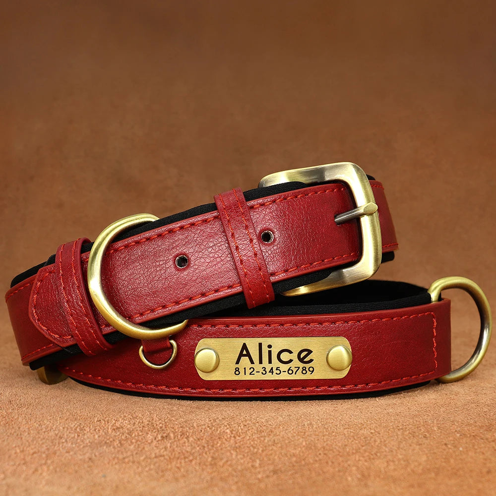 Give your pet a stylish and customized leather collar.