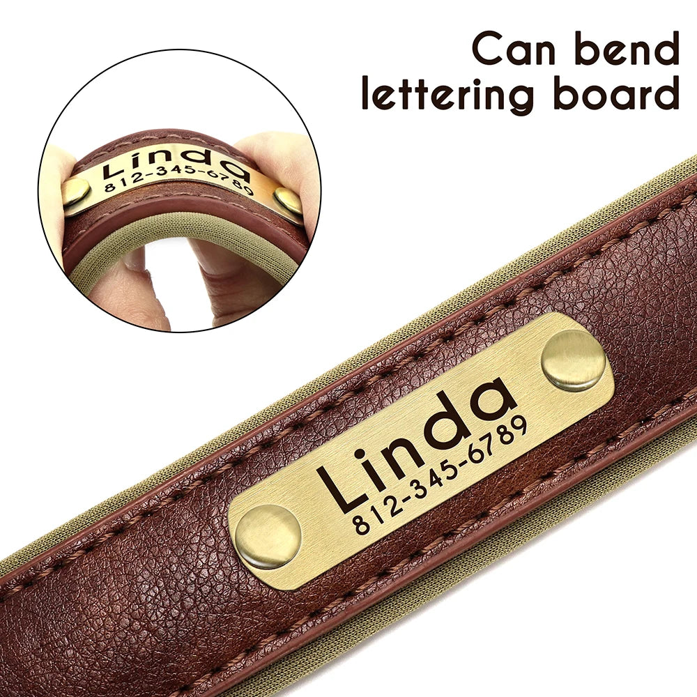 Give your pet a stylish and customized leather collar.