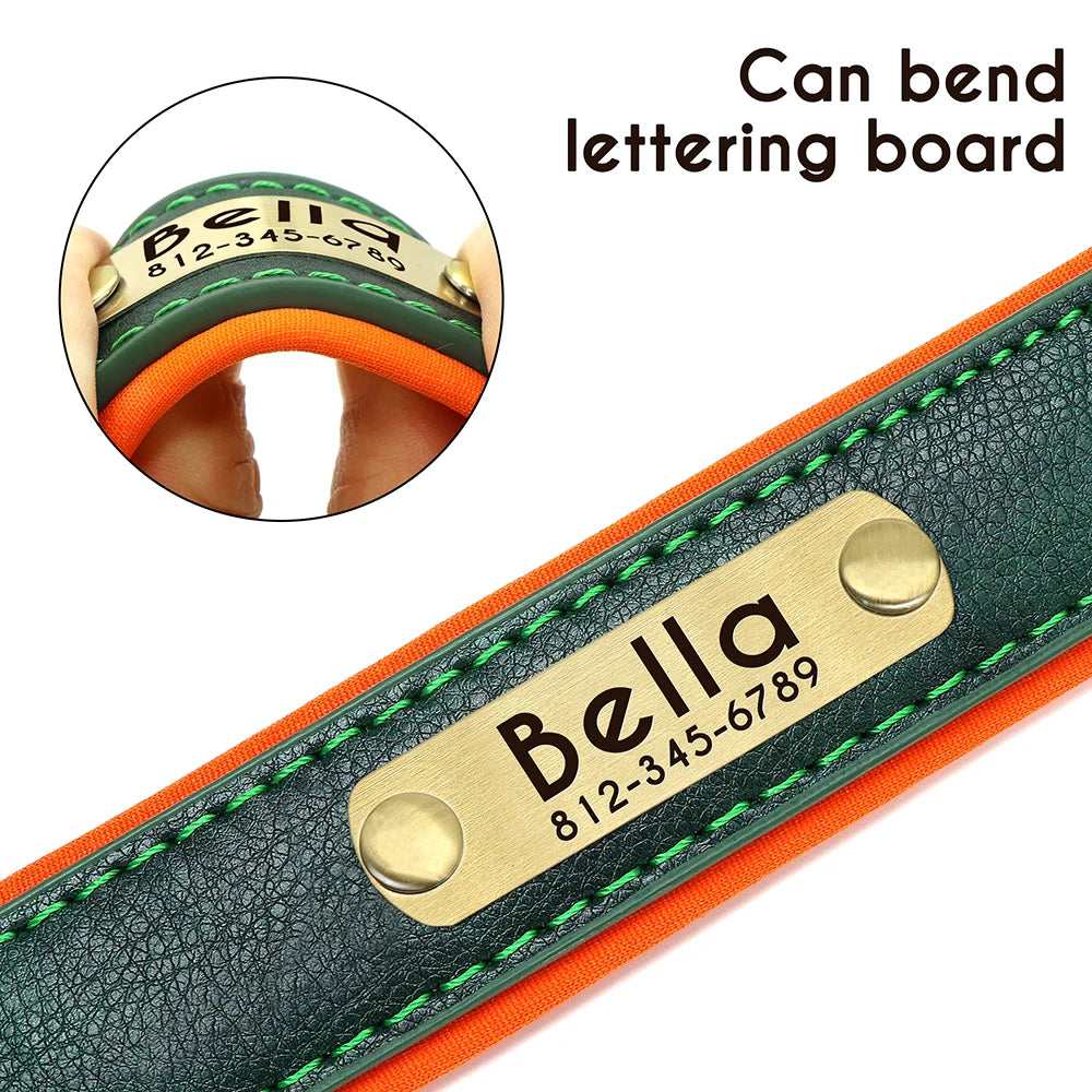 Give your pet a stylish and customized leather collar.