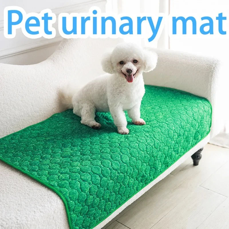 Hassle-free, reusable pee pads for potty training your pet.