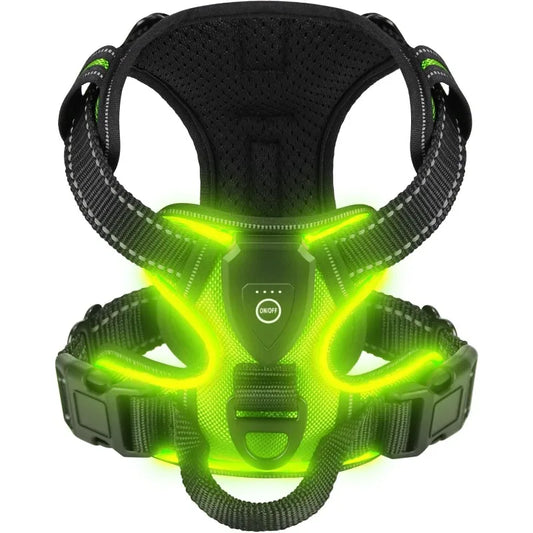 A rechargeable LED dog harness with three light modes, designed for enhanced visibility and safety during nighttime walks.