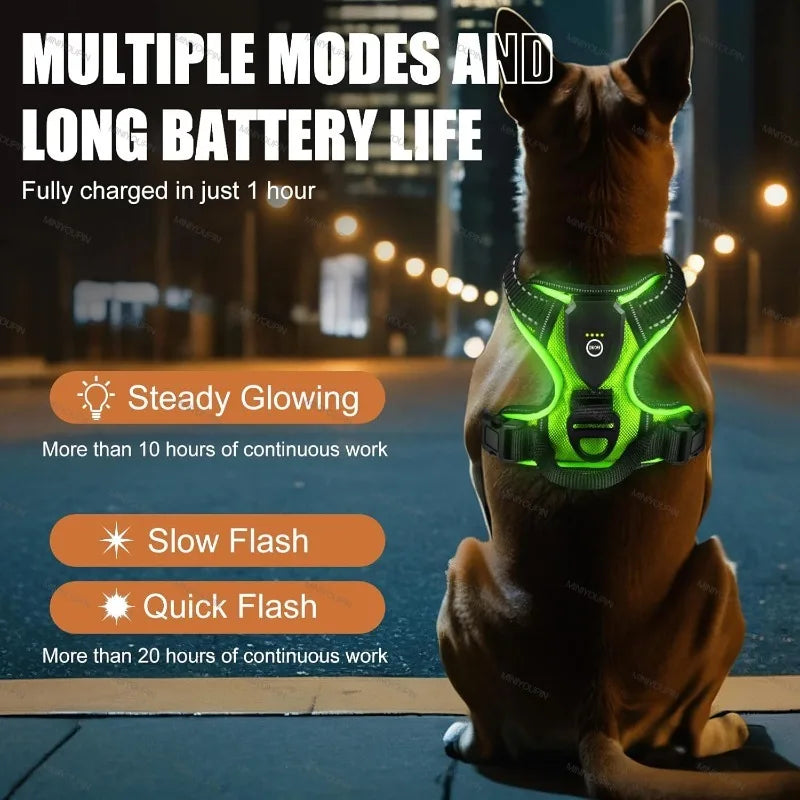 A rechargeable LED dog harness with three light modes, designed for enhanced visibility and safety during nighttime walks.