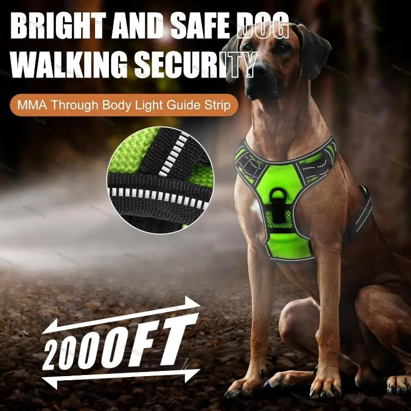 A rechargeable LED dog harness with three light modes, designed for enhanced visibility and safety during nighttime walks.