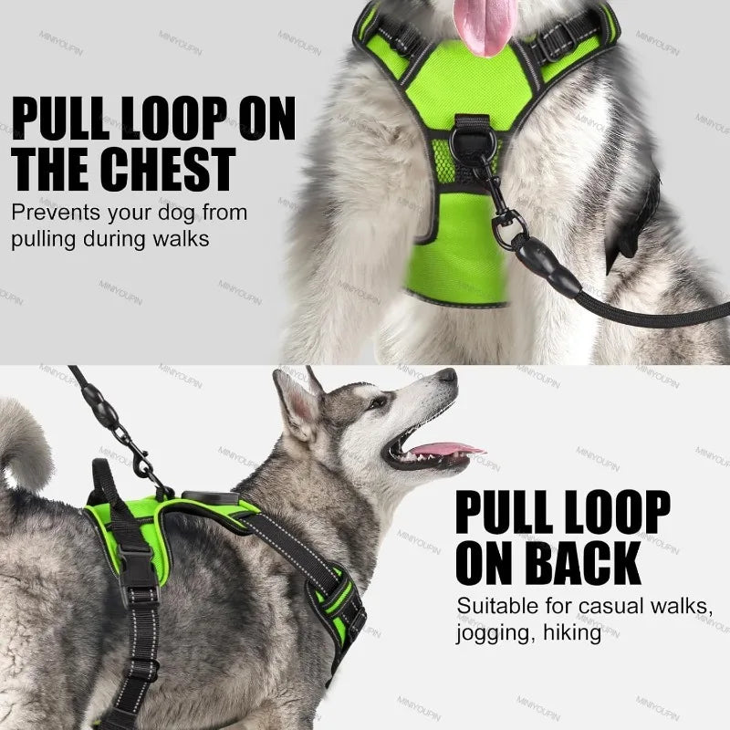 A rechargeable LED dog harness with three light modes, designed for enhanced visibility and safety during nighttime walks.