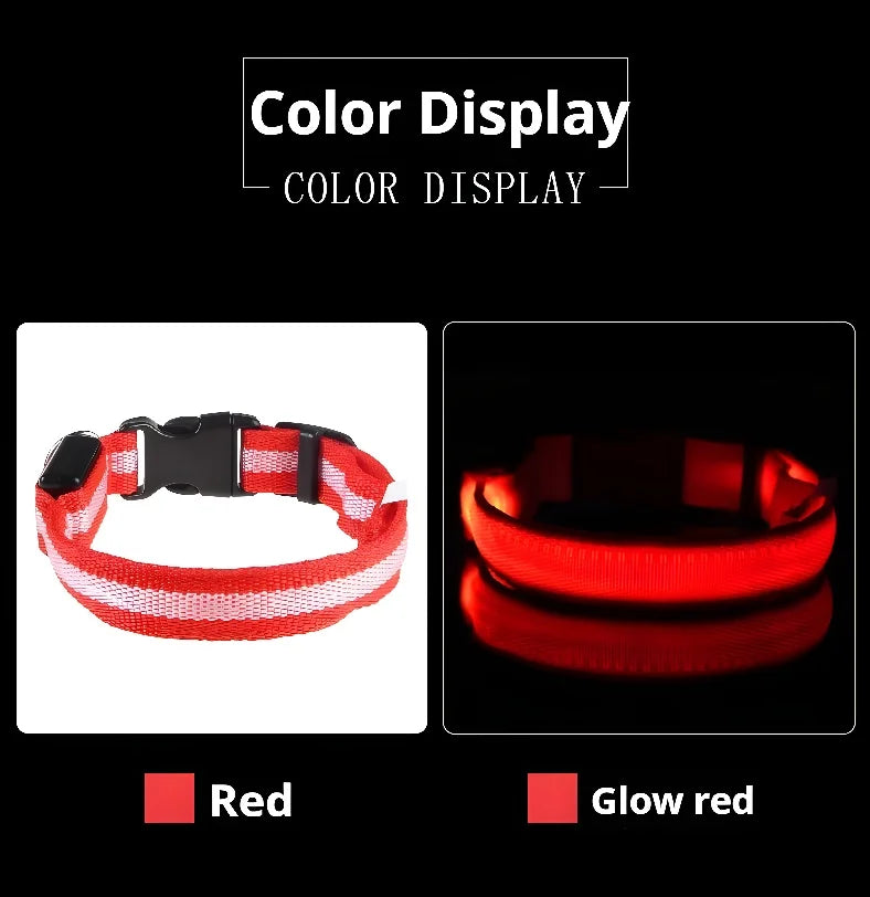 Keep your pet visible at night with this LED safety collar.