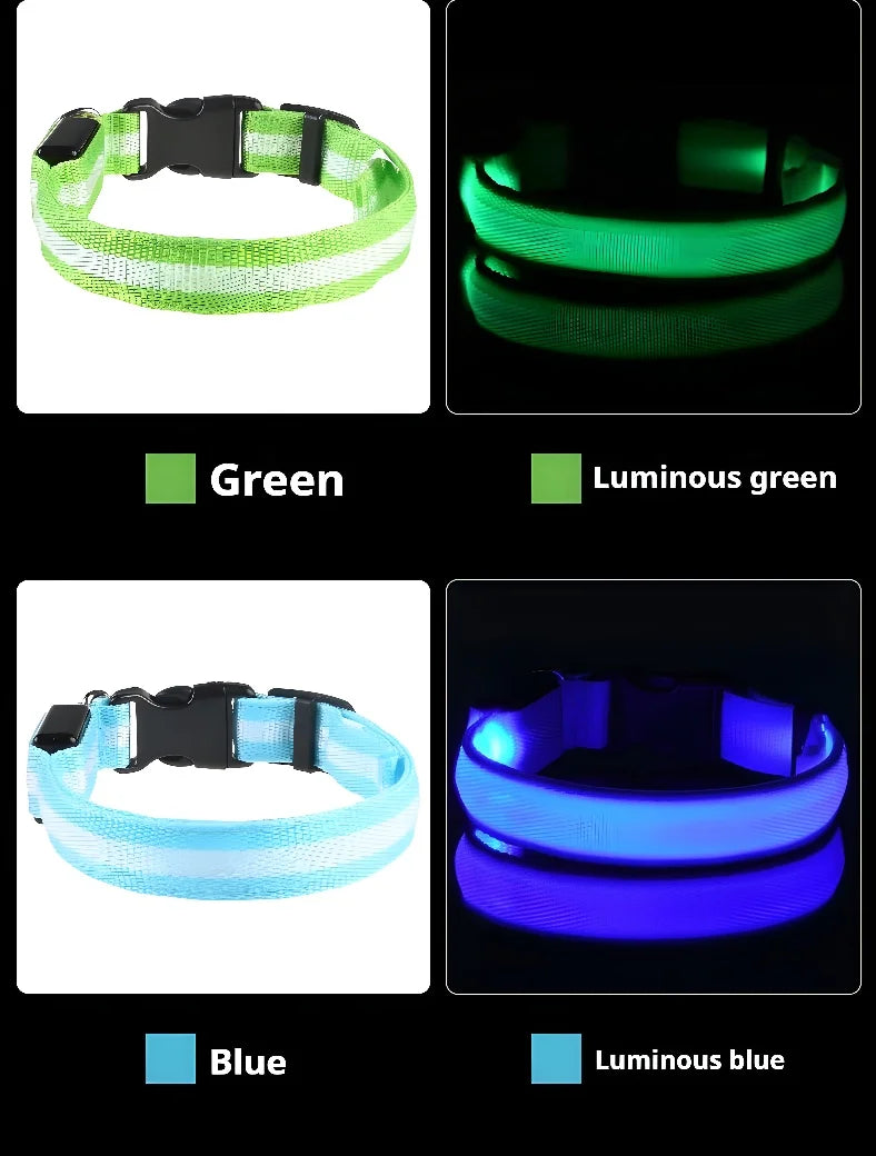 Keep your pet visible at night with this LED safety collar.