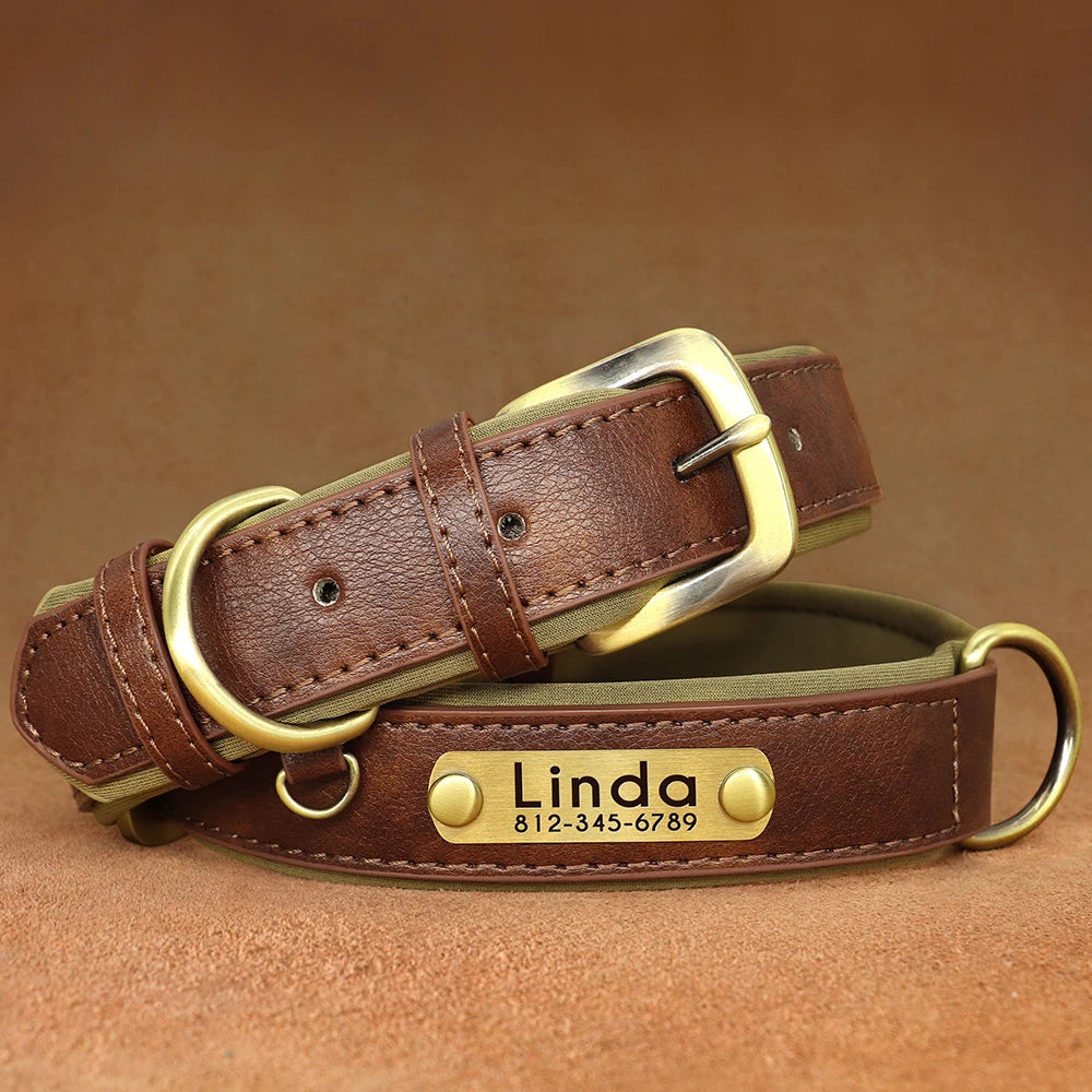 Give your pet a stylish and customized leather collar.