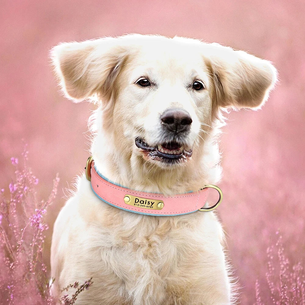 Give your pet a stylish and customized leather collar.