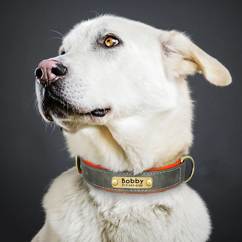 Give your pet a stylish and customized leather collar.