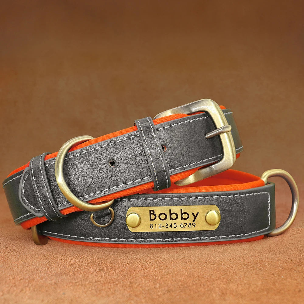 Give your pet a stylish and customized leather collar.