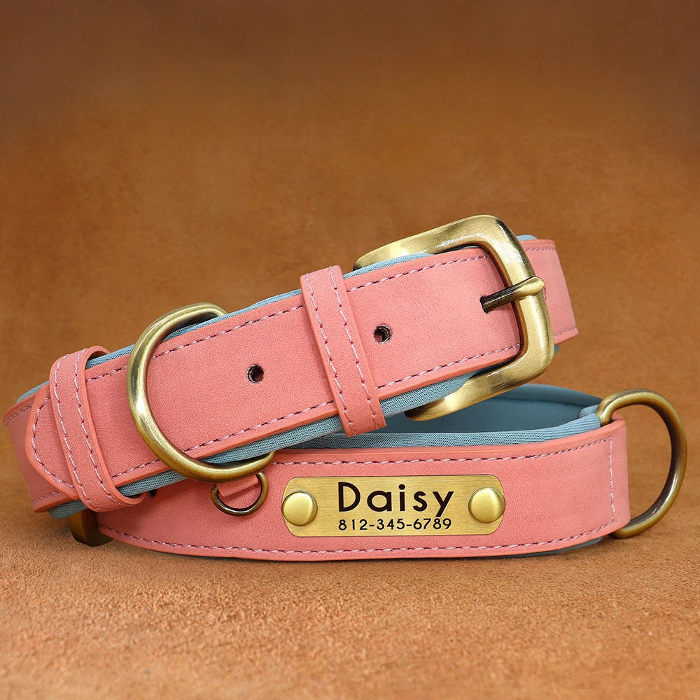 Give your pet a stylish and customized leather collar.