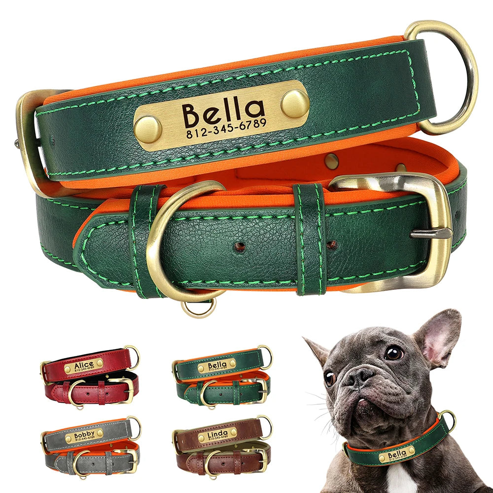 Give your pet a stylish and customized leather collar.