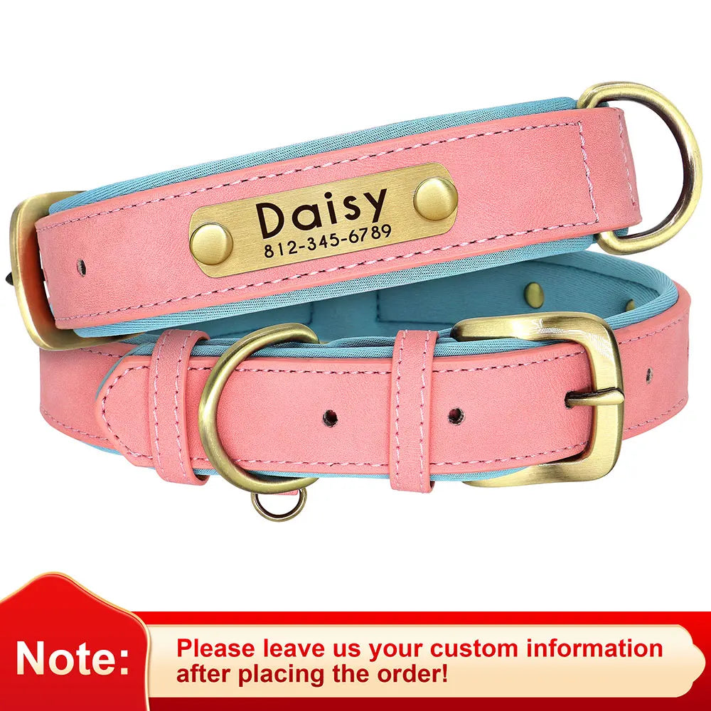 Soft Padded Dogs Collar & Customized Nameplate