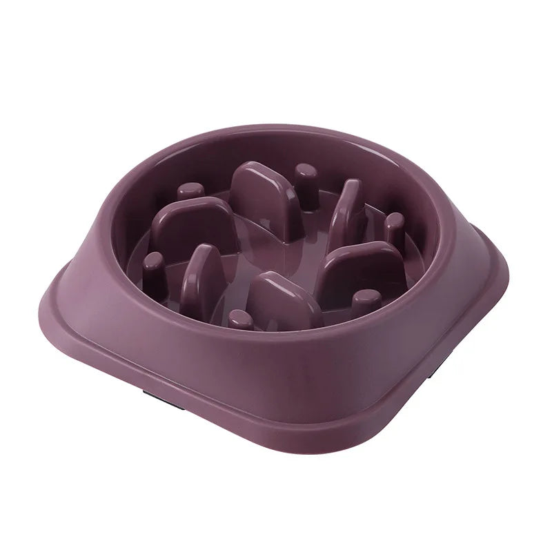 SlowBowl – Anti-Choke Slow Feeding Pet Bowl