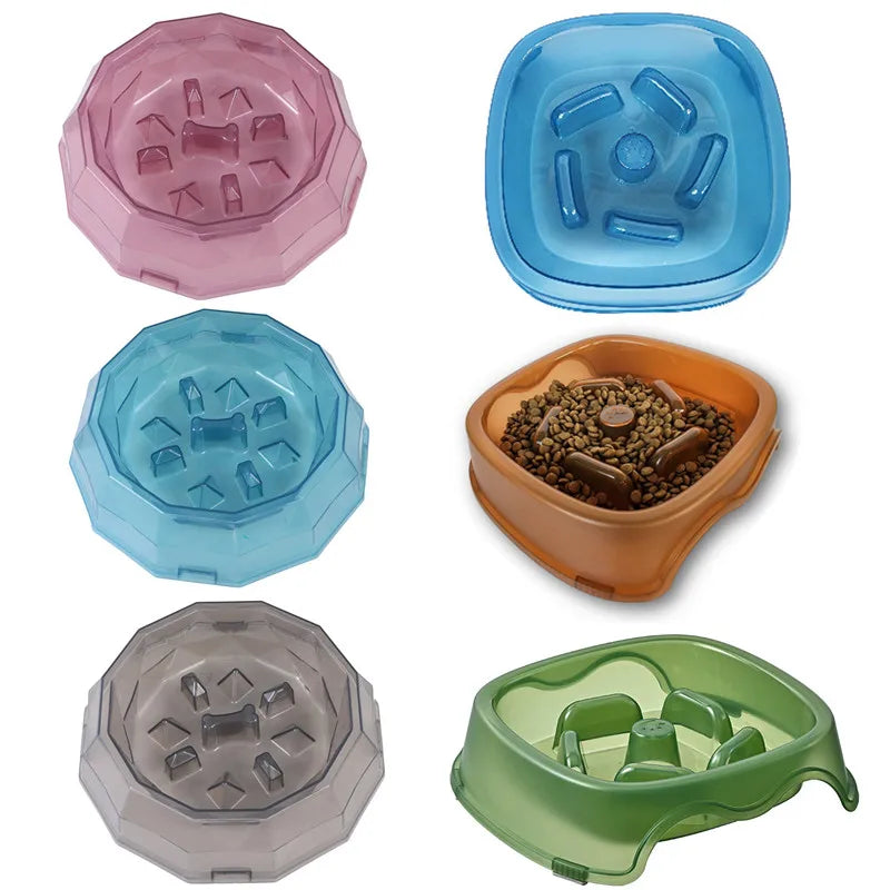 SlowBowl – Anti-Choke Slow Feeding Pet Bowl