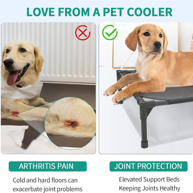 Elevated Pet Bed – Comfort & Support for Pets