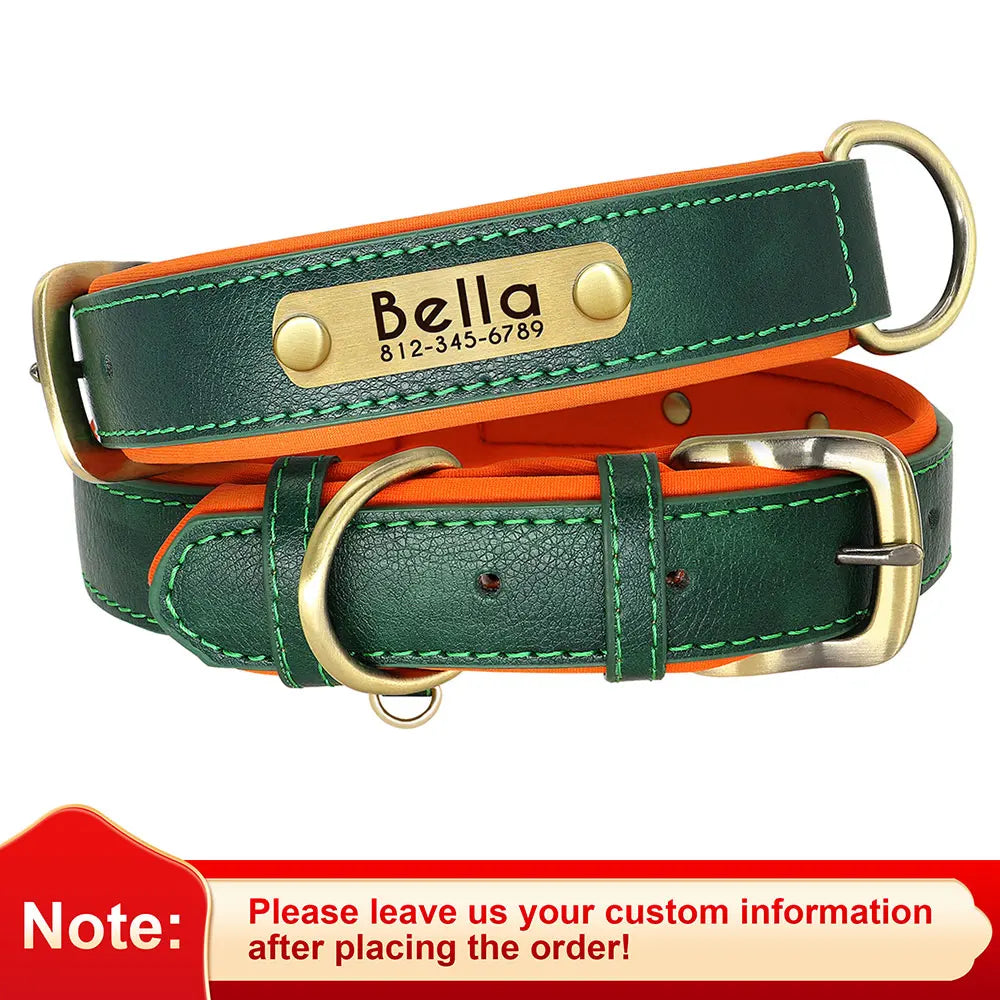 Soft Padded Dogs Collar & Customized Nameplate