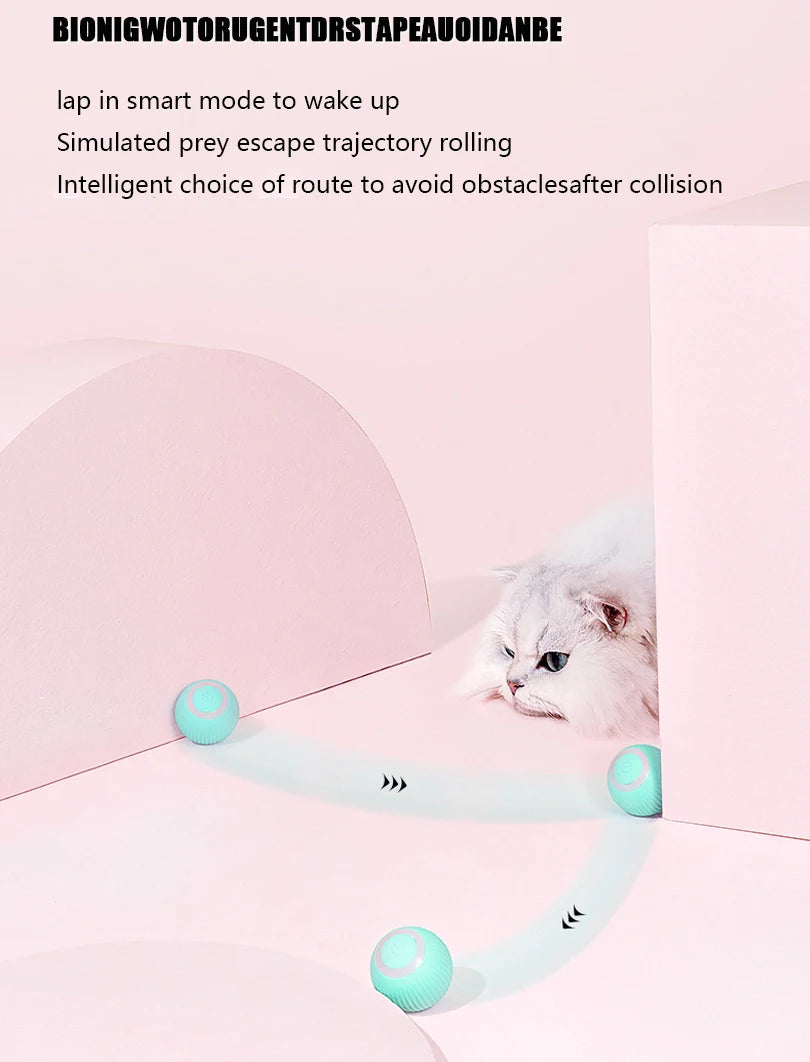 RolliPlay – Interactive Automatic Rolling Pet Ball