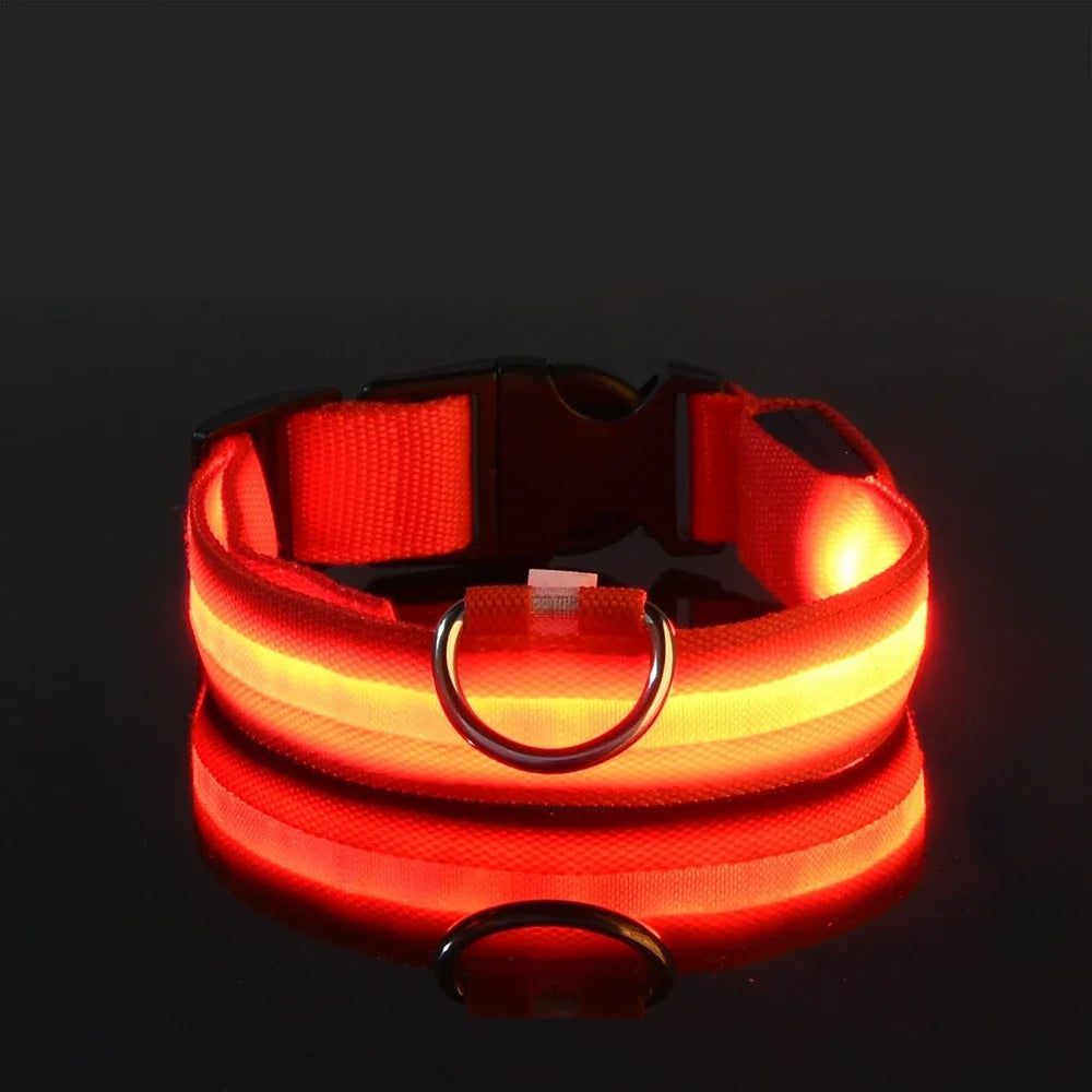 GlowCollar – Flashing LED Nylon Dog Collar