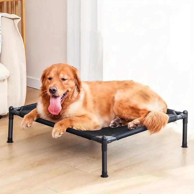 Elevated Pet Bed – Comfort & Support for Pets