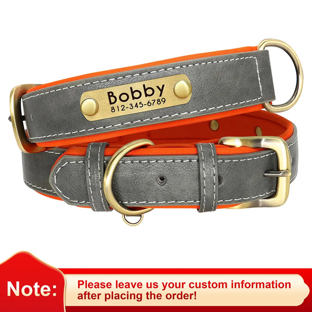 Soft Padded Dogs Collar & Customized Nameplate