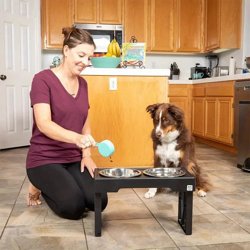 PawElevate – Elevated Dog Bowls