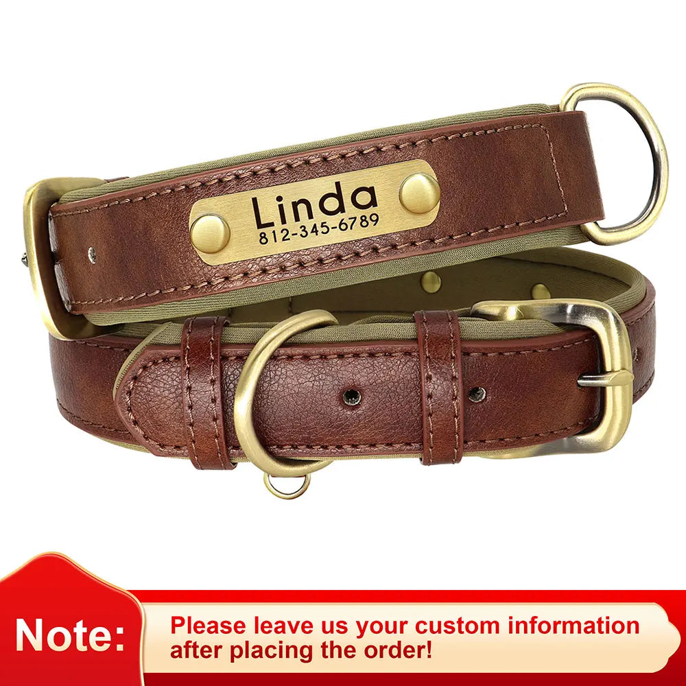 Soft Padded Dogs Collar & Customized Nameplate