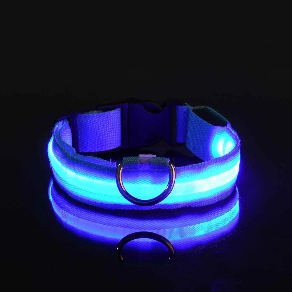 GlowCollar – Flashing LED Nylon Dog Collar