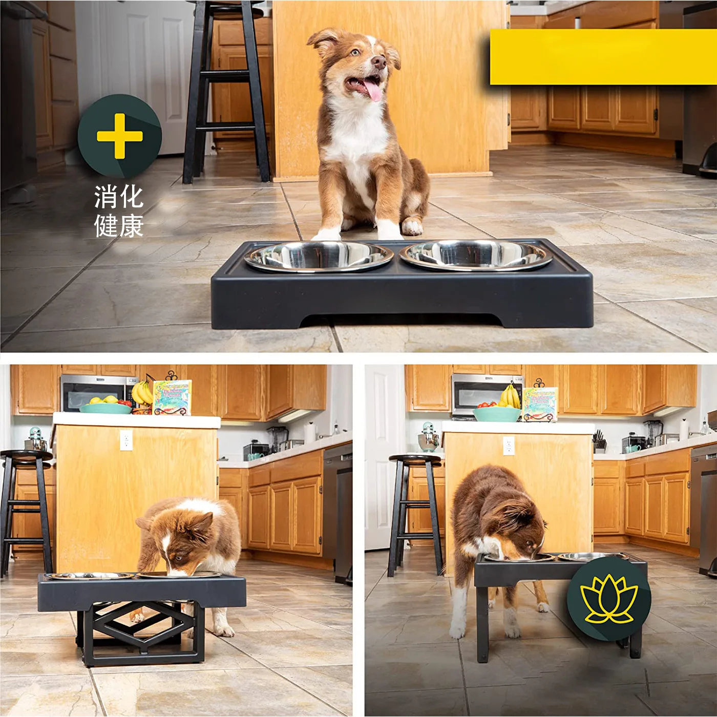 PawElevate – Elevated Dog Bowls