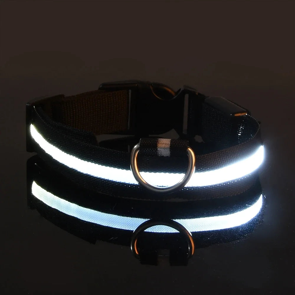 GlowCollar – Flashing LED Nylon Dog Collar