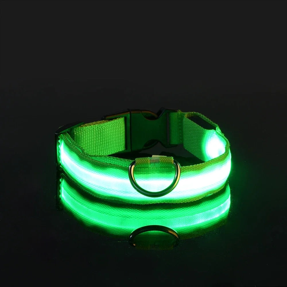 GlowCollar – Flashing LED Nylon Dog Collar