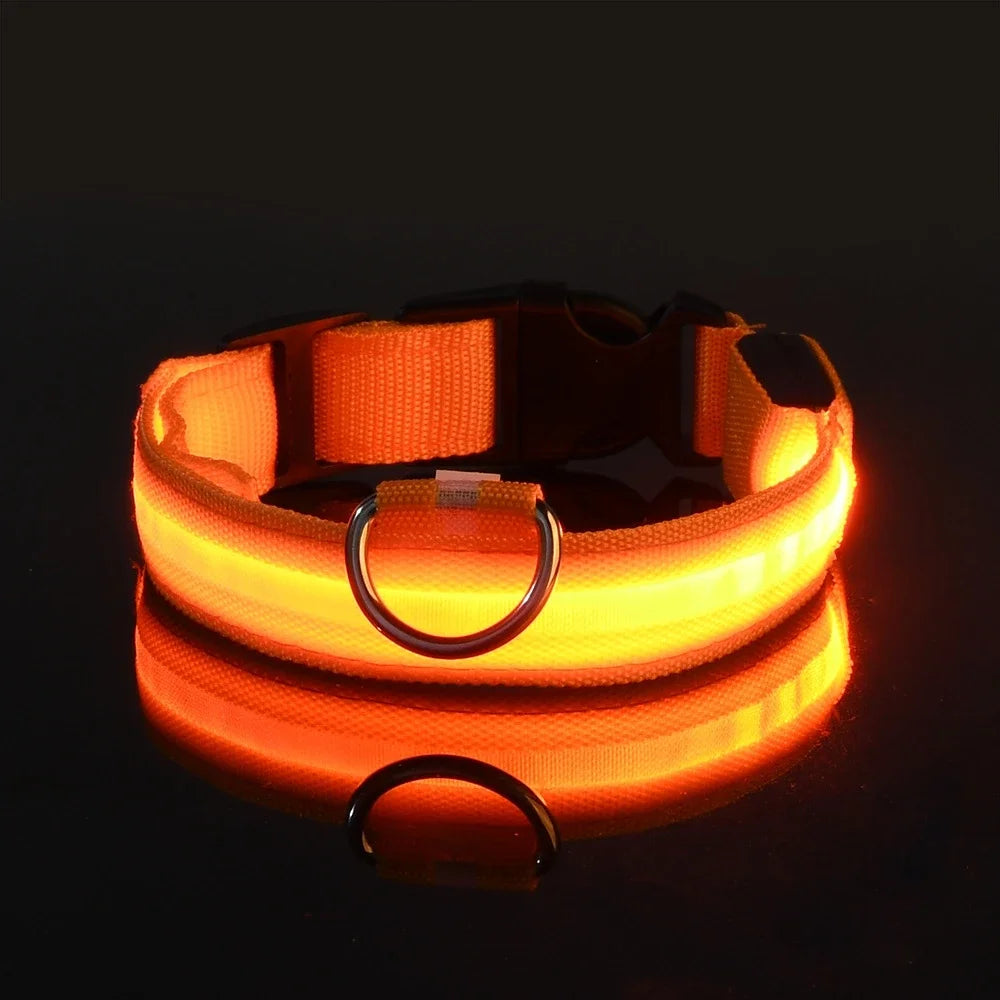 GlowCollar – Flashing LED Nylon Dog Collar