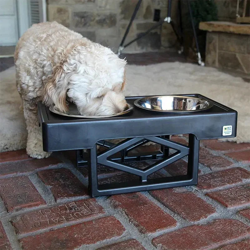 PawElevate – Elevated Dog Bowls