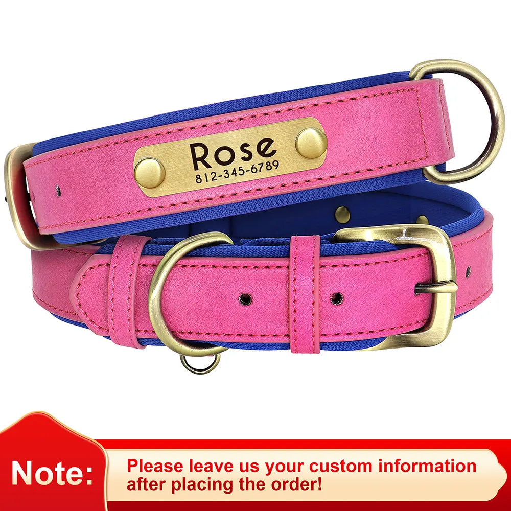 Soft Padded Dogs Collar & Customized Nameplate