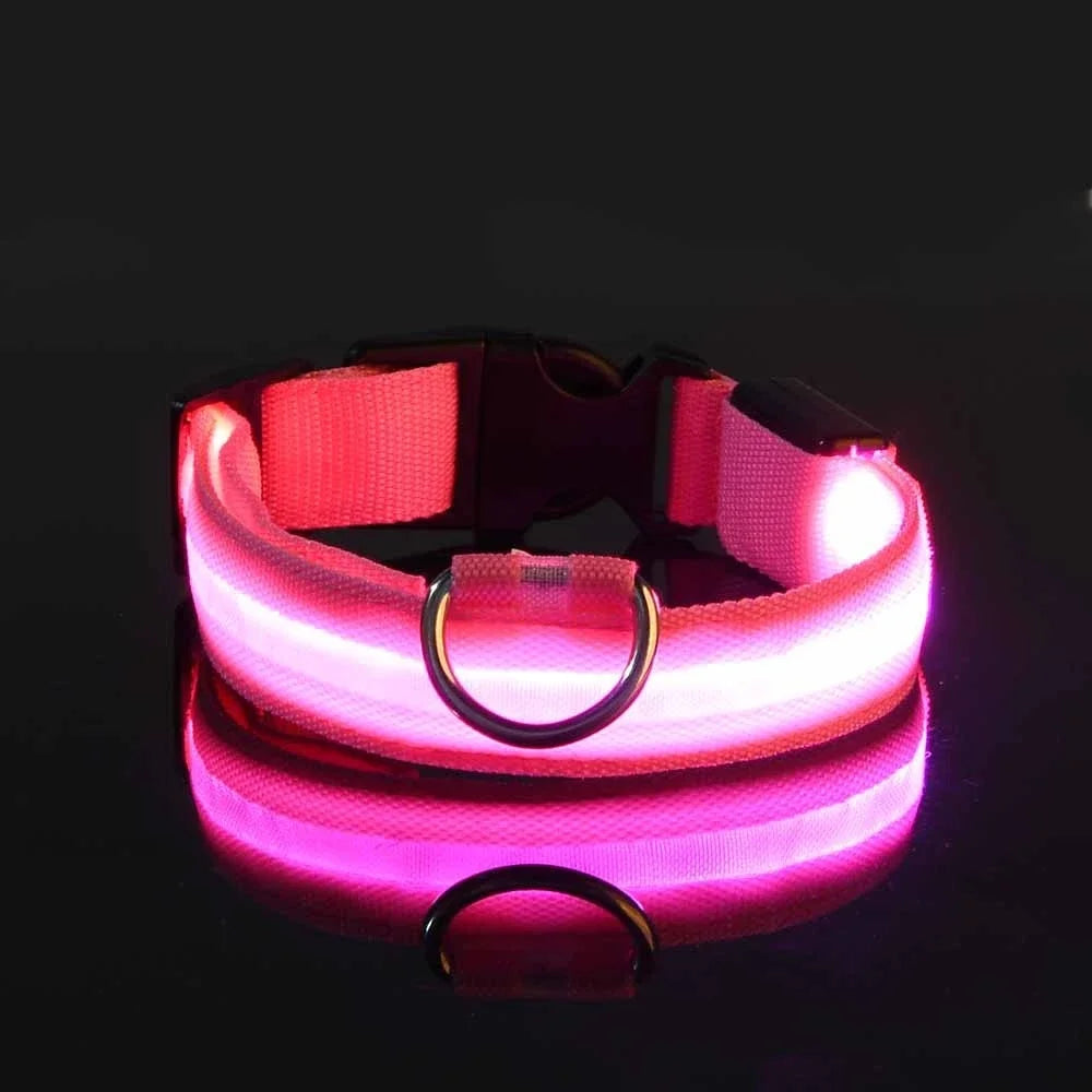 GlowCollar – Flashing LED Nylon Dog Collar