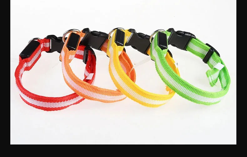 GlowCollar – Flashing LED Nylon Dog Collar