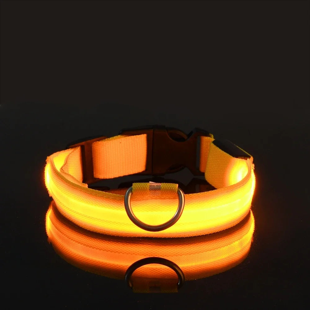 GlowCollar – Flashing LED Nylon Dog Collar