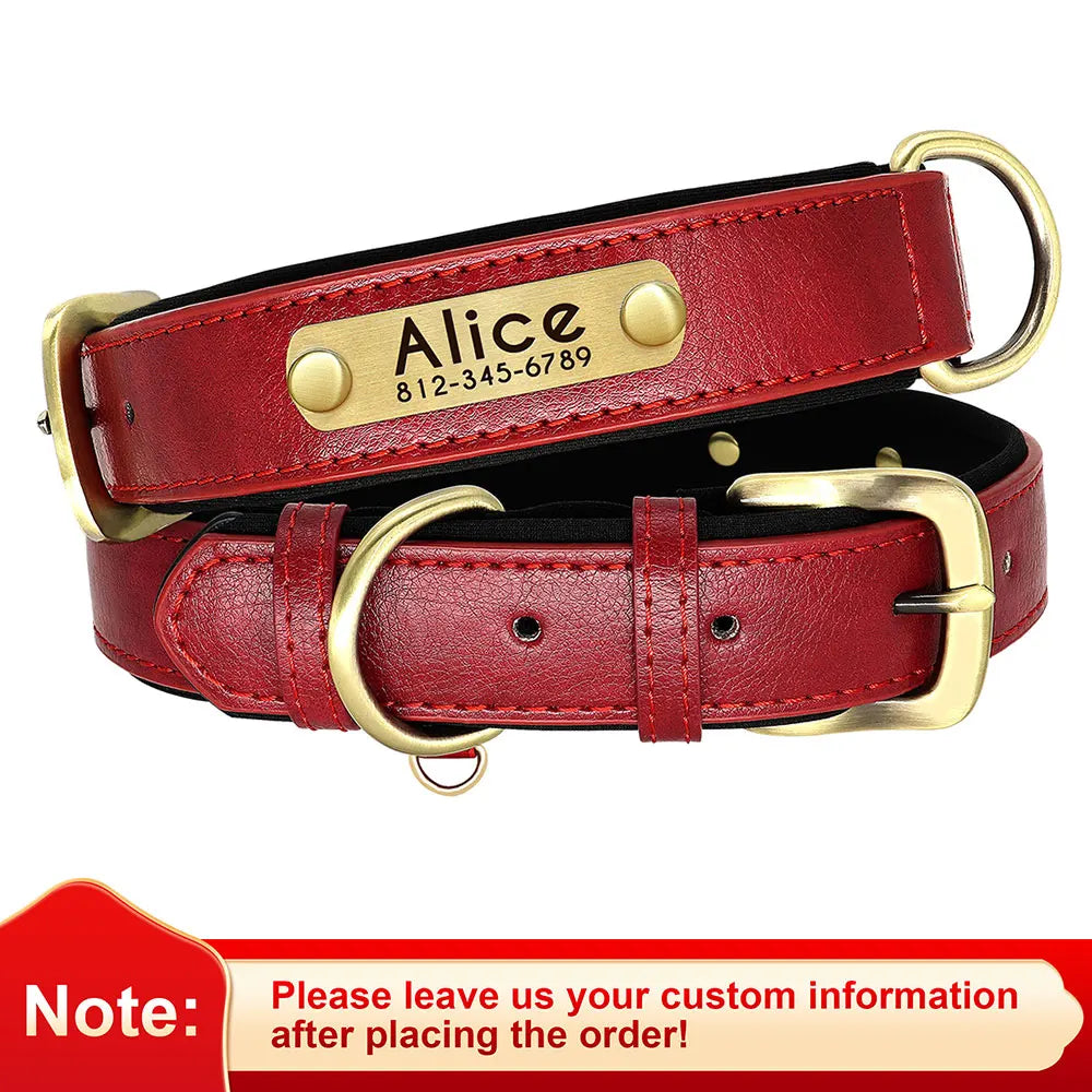 Soft Padded Dogs Collar & Customized Nameplate