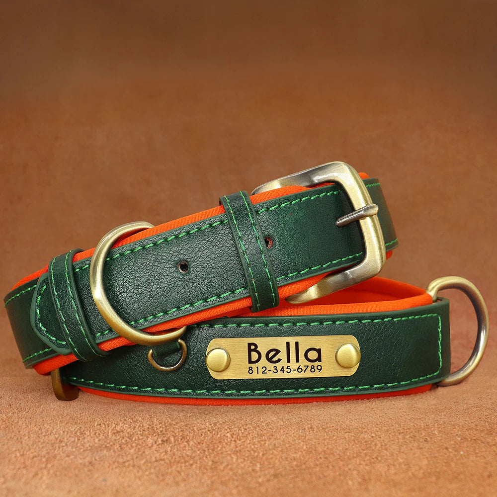 Give your pet a stylish and customized leather collar.