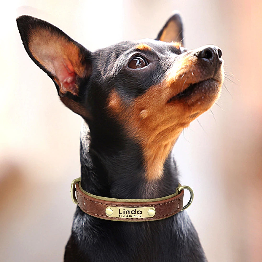 Give your pet a stylish and customized leather collar.