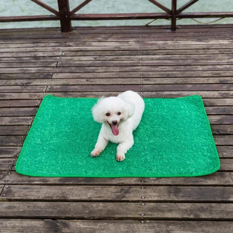 Hassle-free, reusable pee pads for potty training your pet.