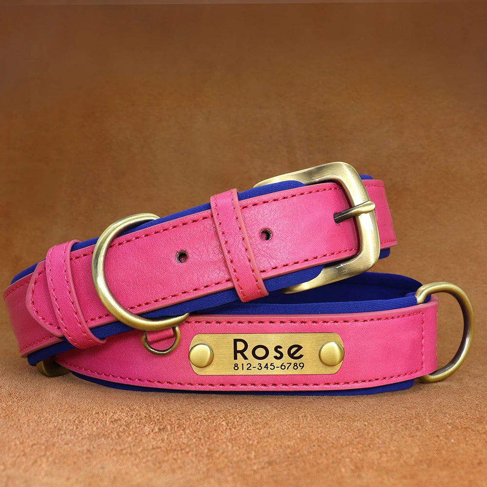 Give your pet a stylish and customized leather collar.