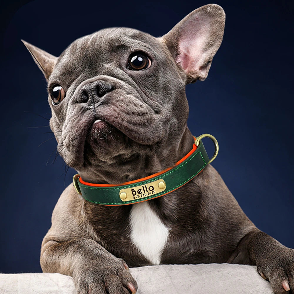 Give your pet a stylish and customized leather collar.